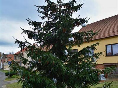 Image.ashx﹖id_org=13670&id_obrazky=1064&datum=12ꤷ6ꤷ2015+8﹕51﹕53+PM