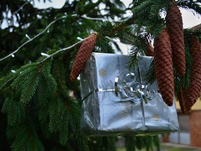 Image.ashx﹖id_org=13670&id_obrazky=1061&datum=12ꤷ6ꤷ2015+8﹕51﹕42+PM