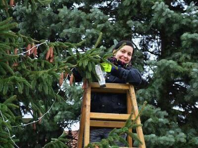 Image.ashx﹖id_org=13670&id_obrazky=1067&datum=12ꤷ6ꤷ2015+8﹕52﹕05+PM