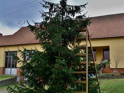 Image.ashx﹖id_org=13670&id_obrazky=1085&datum=12ꤷ6ꤷ2015+8﹕53﹕15+PM