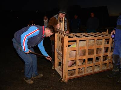 Image.ashx﹖id_org=13670&id_obrazky=1340&datum=1ꤷ24ꤷ2016+8﹕41﹕30+PM