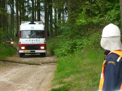 Image.ashx﹖id_org=13670&id_obrazky=1628&datum=4ꤷ18ꤷ2016+5﹕43﹕38+PM