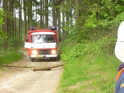 Image.ashx﹖id_org=13670&id_obrazky=1637&datum=4ꤷ18ꤷ2016+5﹕44﹕01+PM