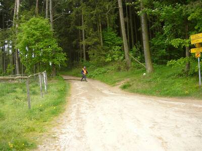 Image.ashx﹖id_org=13670&id_obrazky=1640&datum=4ꤷ18ꤷ2016+5﹕44﹕10+PM