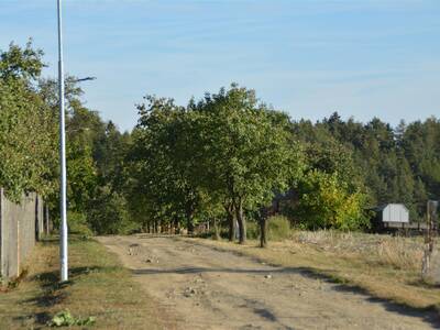 Image.ashx﹖id_org=13670&id_obrazky=2619&datum=11ꤷ5ꤷ2016+6﹕55﹕47+PM