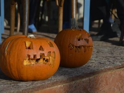 Image.ashx﹖id_org=13670&id_obrazky=5175&datum=1ꤷ16ꤷ2019+3﹕53﹕36+PM