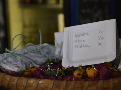 Image.ashx﹖id_org=13670&id_obrazky=5190&datum=1ꤷ16ꤷ2019+3﹕54﹕41+PM