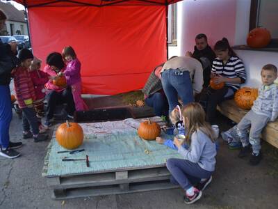 Image.ashx﹖id_org=13670&id_obrazky=5202&datum=1ꤷ16ꤷ2019+3﹕55﹕15+PM