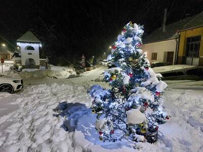 Image.ashx﹖id_org=13670&id_obrazky=7145&datum=2ꤷ26ꤷ2024+8﹕27﹕55+PM